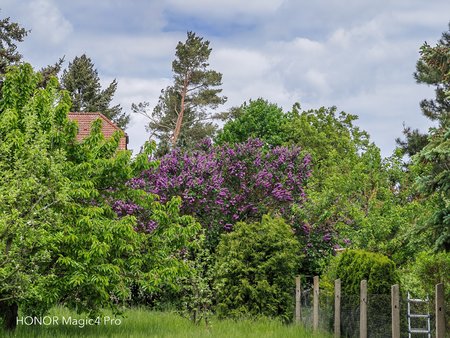 img_20220514_110607.jpg