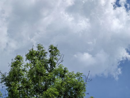 2022-05-09_Wolken_04.jpg