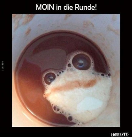 Moin.jpg