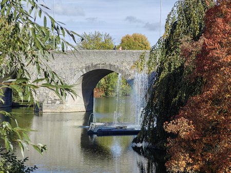 2022-10-11_An-der-Lahn_07.jpg