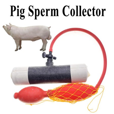 1SET-Schwein-Samen-Sammlung-Kit-Piggery-Spermien-Sammler-K-nstliche-Befruchtung-Kunststoff-Gum...jpg