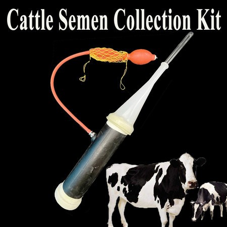 1SET-Rinder-Samen-Sammlung-Kit-K-nstliche-Inseminatio2-Spermien-Sammeln-Ger-t-Kuh-Bovide-Ox-Bull.jpg