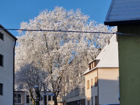 2023-01-21_Schnee-im-Januar-in-SB_08.jpg