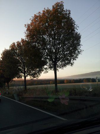 20121011_080429.jpg