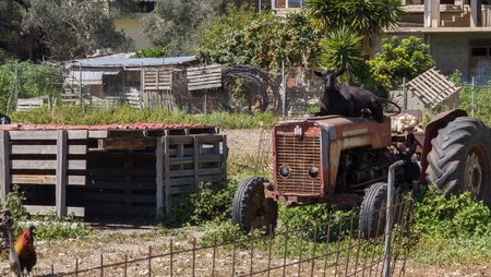 LMC_20230414_145528_wolfjava58crete~2.jpg