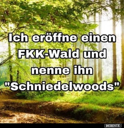 schniedelwoods.jpg