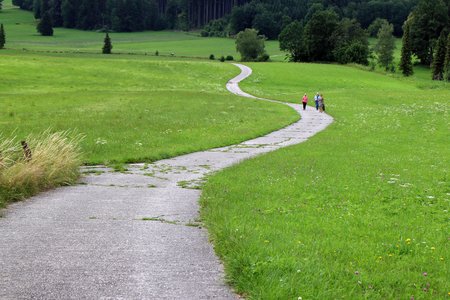 landscape-nature-forest-grass-structure-hiking-trail-field-lawn-meadow-recreation-walk-green-p...jpg