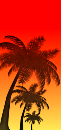 26822 gradient palms v1.png