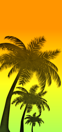 26822 gradient palms v2.png