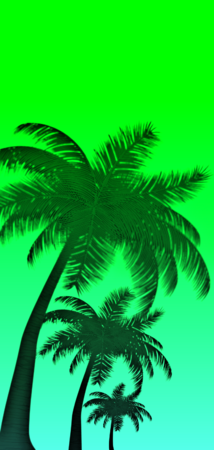 26822 gradient palms v3.png