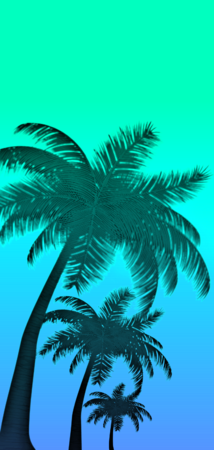 26822 gradient palms v4.png