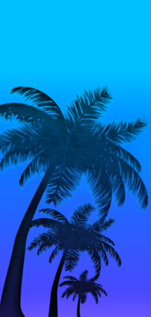 26822 gradient palms v5.png