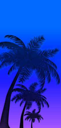 26822 gradient palms v6.png