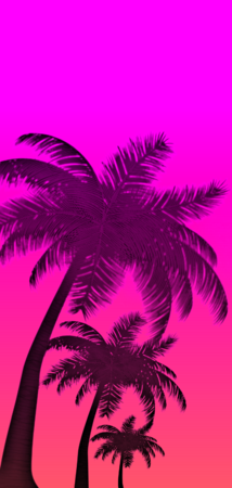 26822 gradient palms v8.png