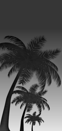 26822 gradient palms v9.png