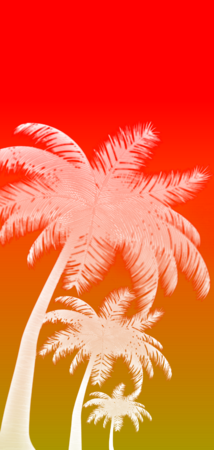 26822 inverted gradient palms v1.png