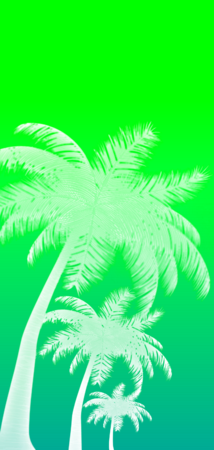 26822 inverted gradient palms v3.png