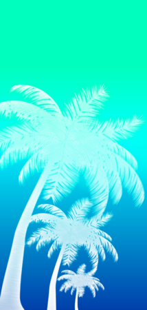 26822 inverted gradient palms v4.png