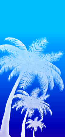 26822 inverted gradient palms v5.png