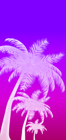 26822 inverted gradient palms v7.png