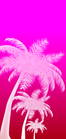 26822 inverted gradient palms v8.png