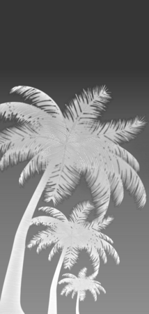 26822 inverted gradient palms v9.png